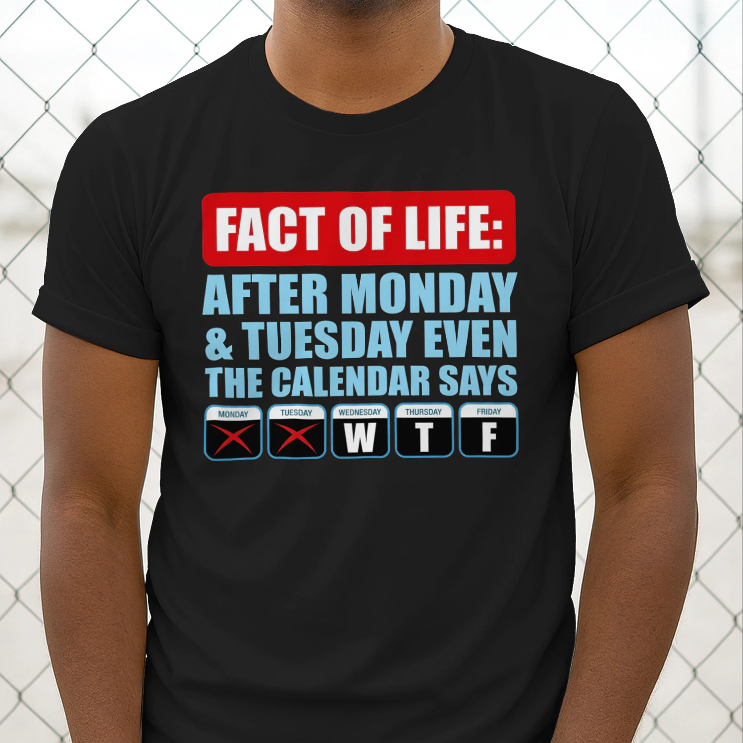Fact Of Life Calendar WTF Shirt - Hilarious Work