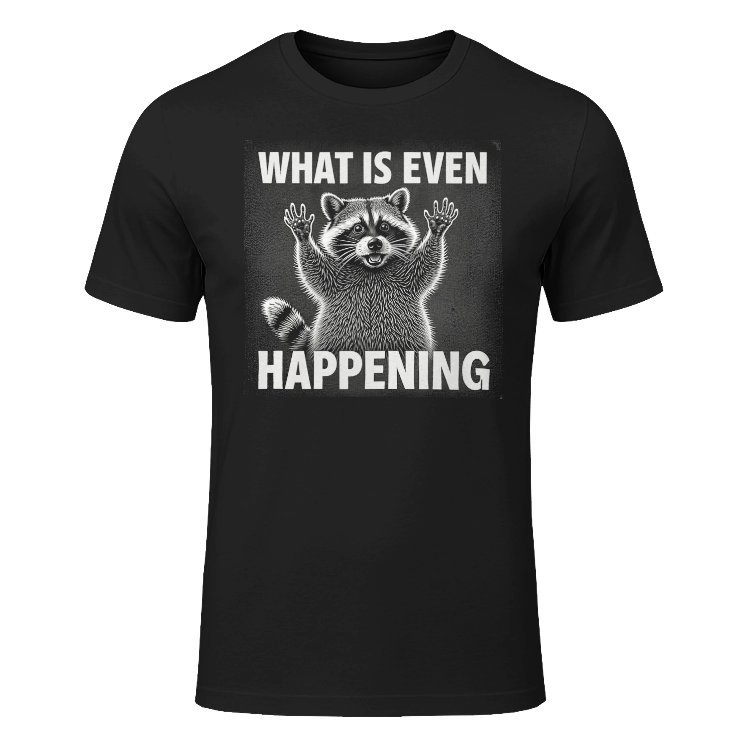 what is even happening raccoon funny meme