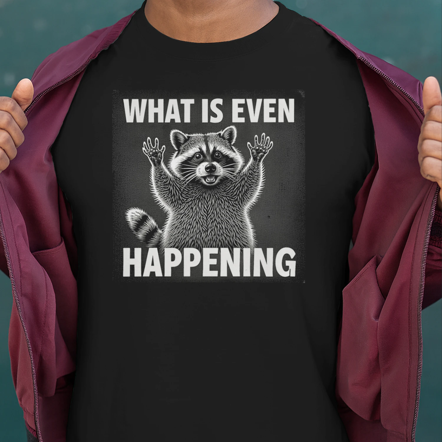 what is even happening raccoon funny meme