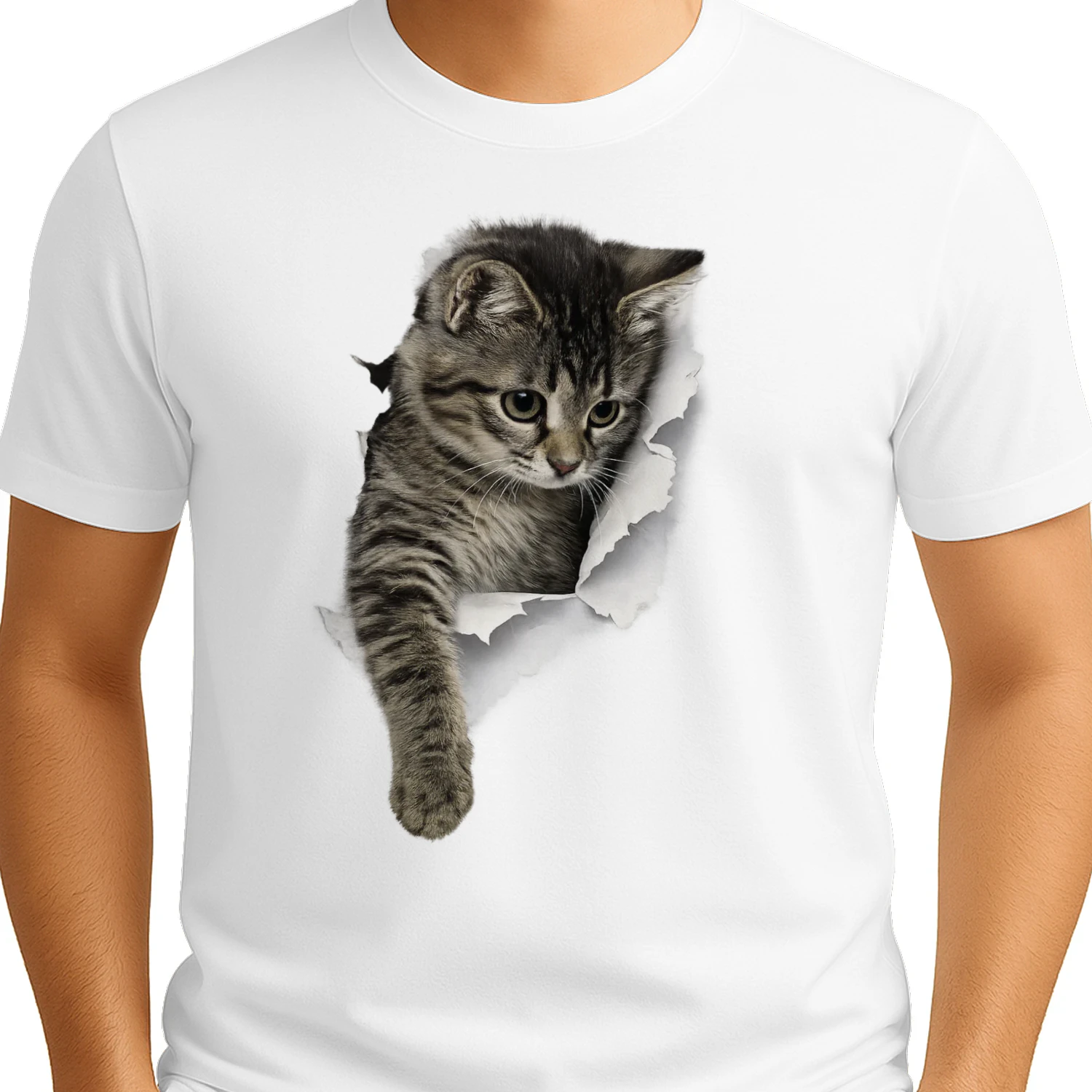 Pocket Peek Kitty