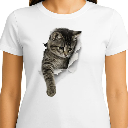 Pocket Peek Kitty