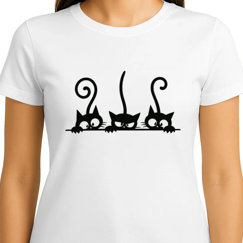 Curious Trio Cats