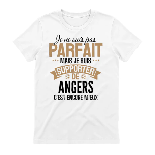 je ne suis pas parfait mais je suis supporter de Angers c'est encore mieux
