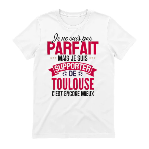 je ne suis pas parfait mais je suis supporter de toulouse c'est encore mieux