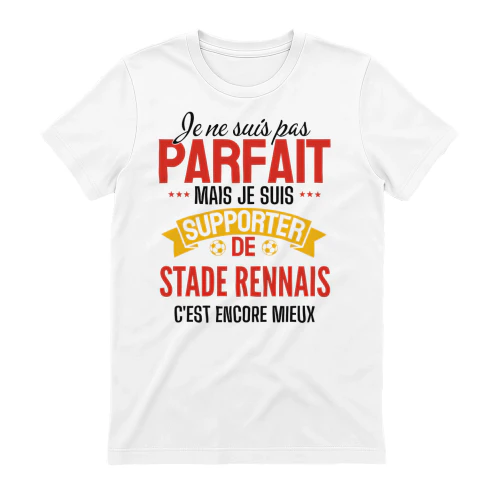 je ne suis pas parfait mais je suis supporter de stade rennes c'est encore mieux