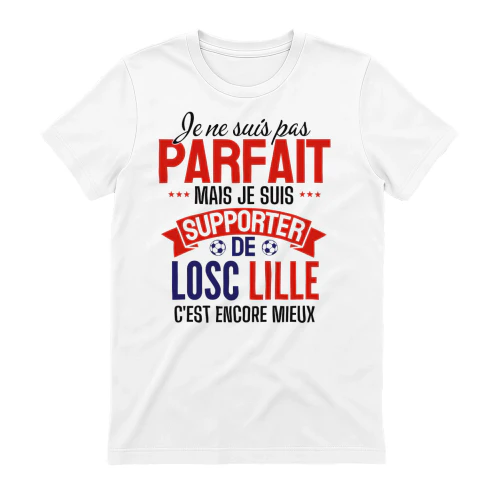 je ne suis pas parfait mais je suis supporter de LOSC LILLE c'est encore mieux