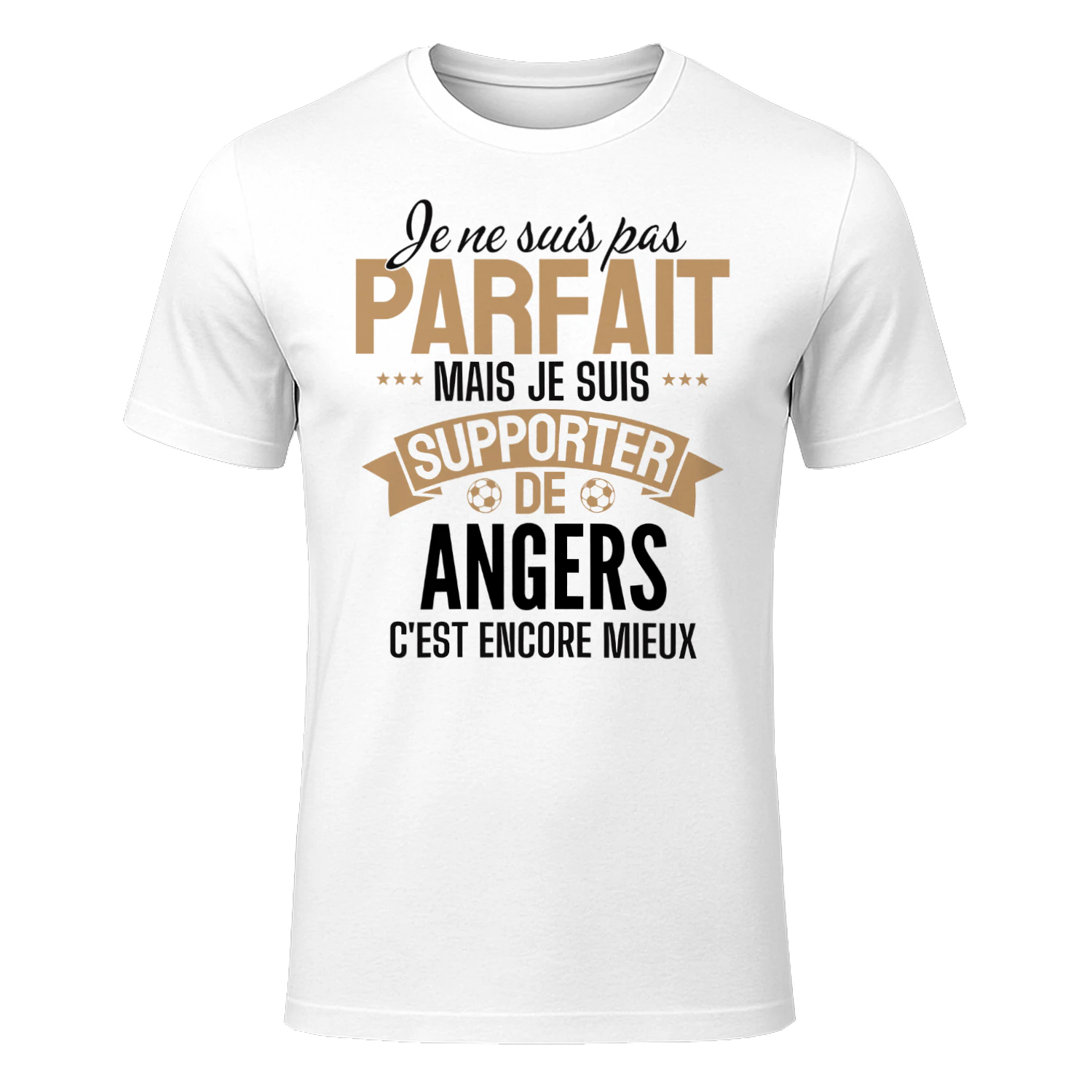 je ne suis pas parfait mais je suis supporter de Angers c'est encore mieux