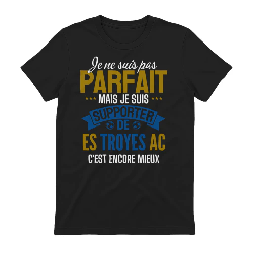  je ne suis pas parfait mais je suis supporter de ES Troyes AC c'est encore mieux