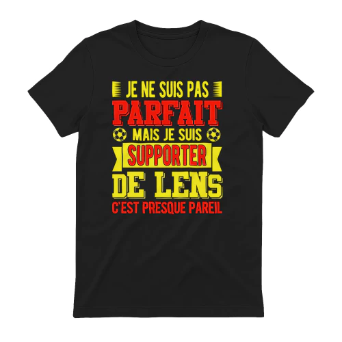 je ne suis pas parfait mais je suis supporter de lens c'est presque pareil