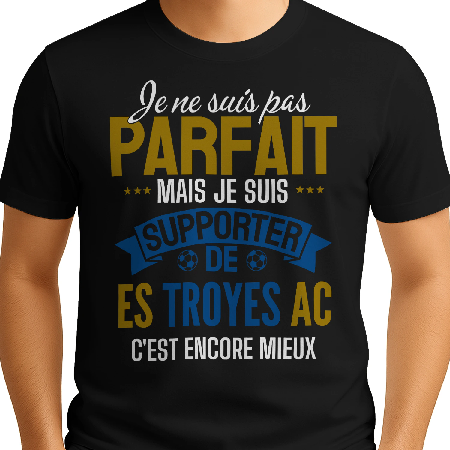  je ne suis pas parfait mais je suis supporter de ES Troyes AC c'est encore mieux