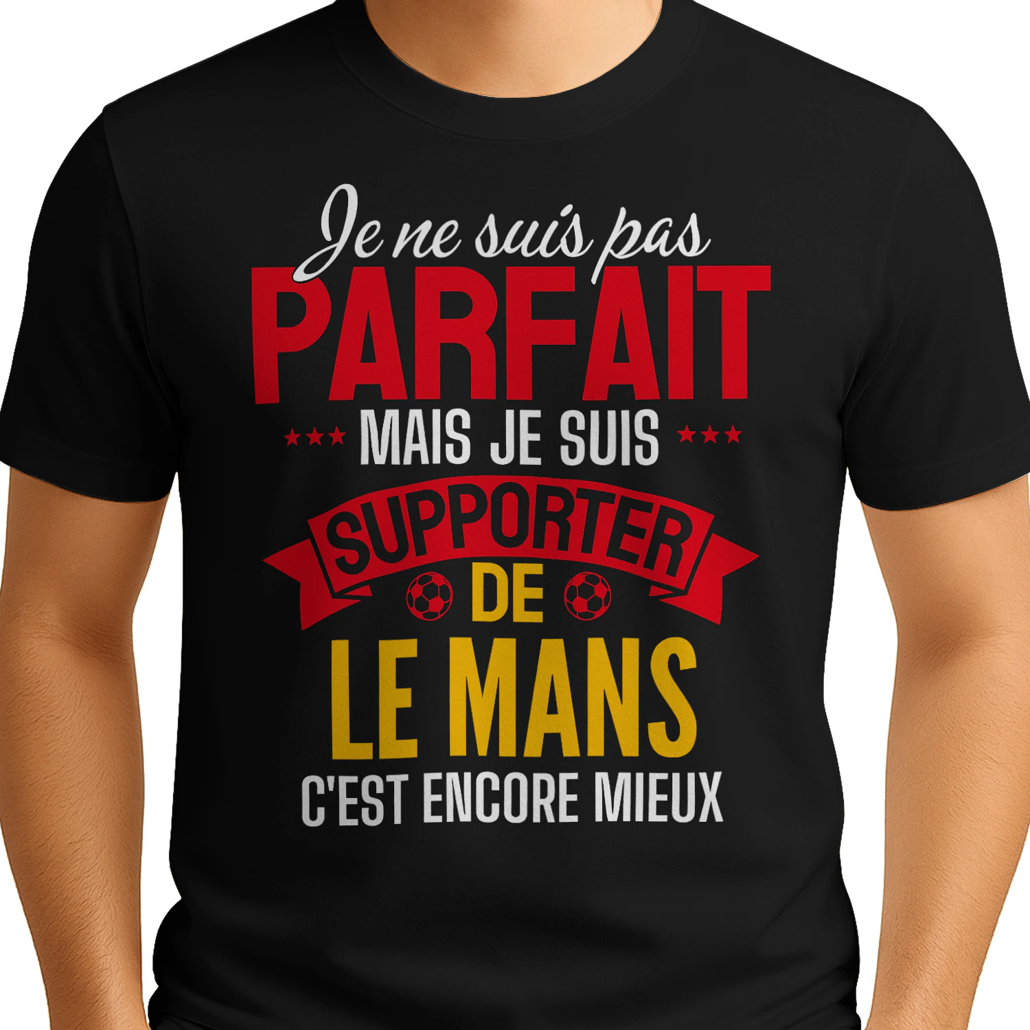 je ne suis pas parfait mais je suis supporter de LE MANS c'est encore mieux