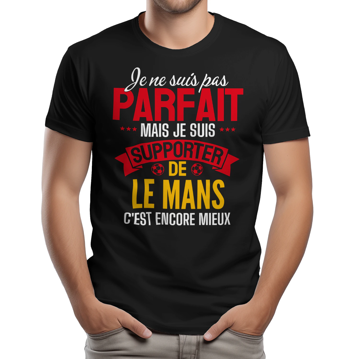 je ne suis pas parfait mais je suis supporter de LE MANS c'est encore mieux