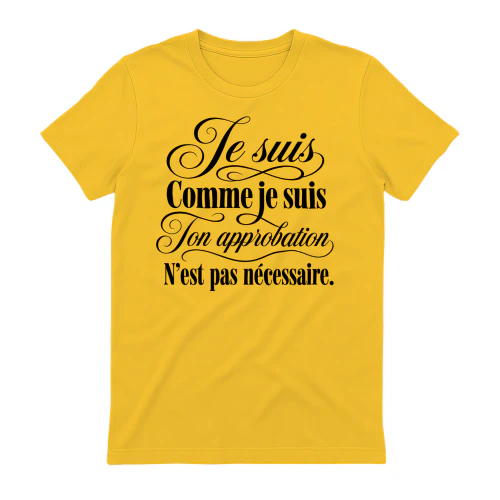 Je suis Comme je suis Ton approbation N’est pas nécessaire.