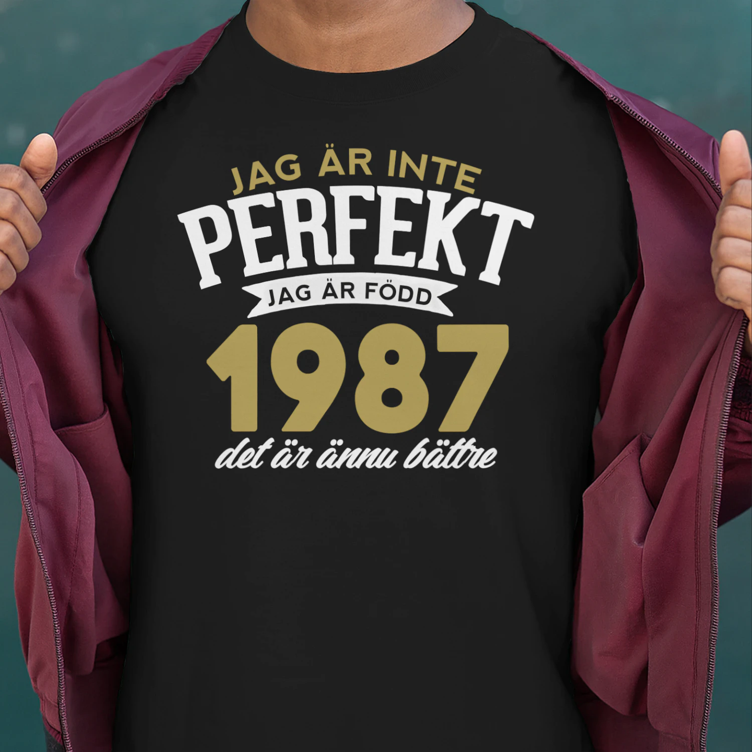 1987-sw01-perf