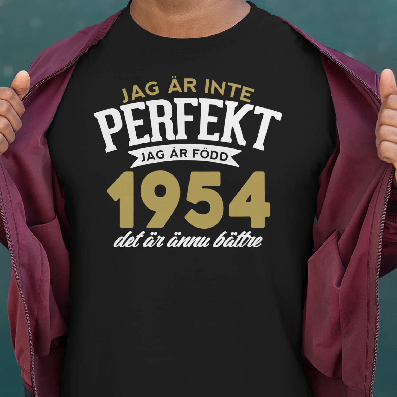 1954-sw01-perf