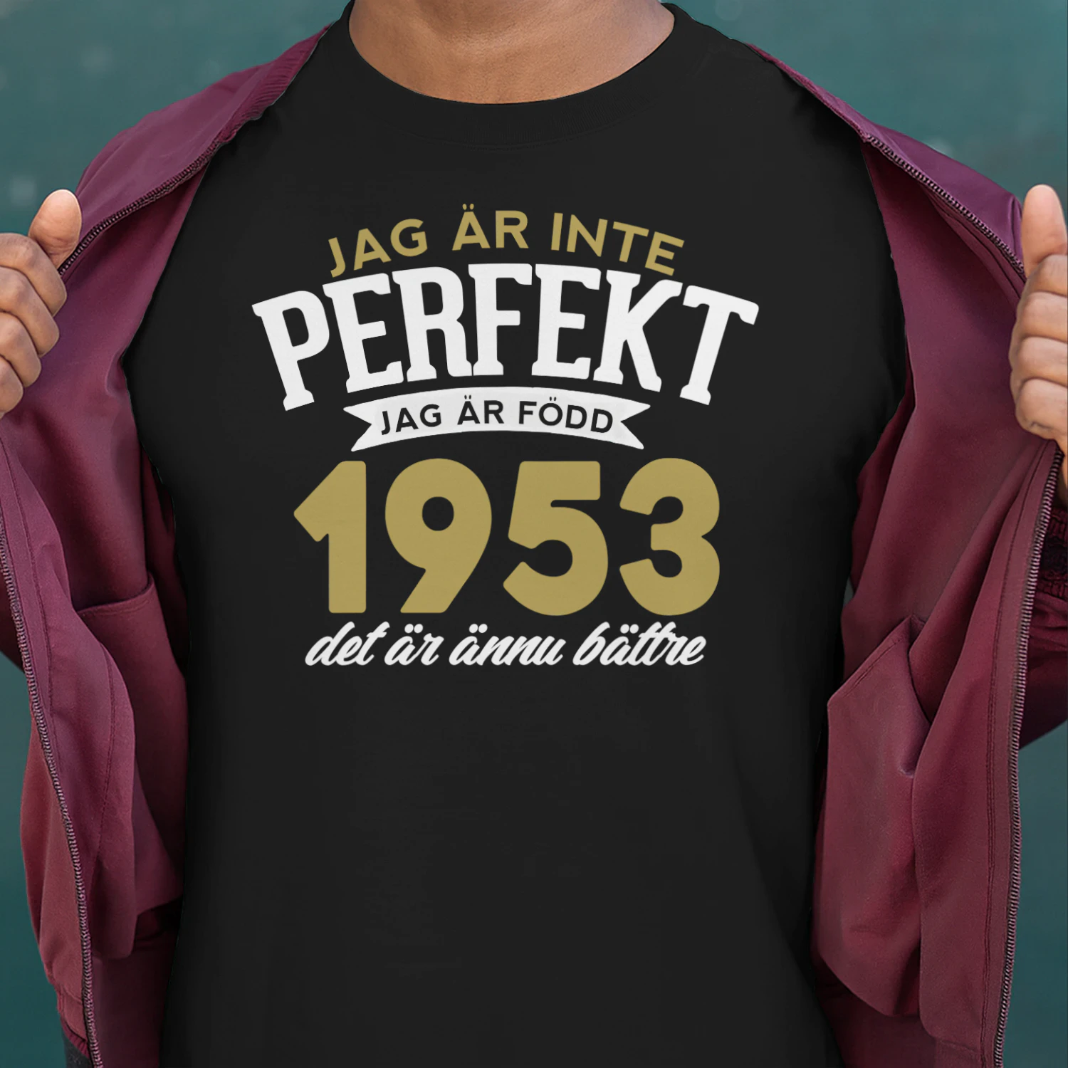 1953-sw01-perf