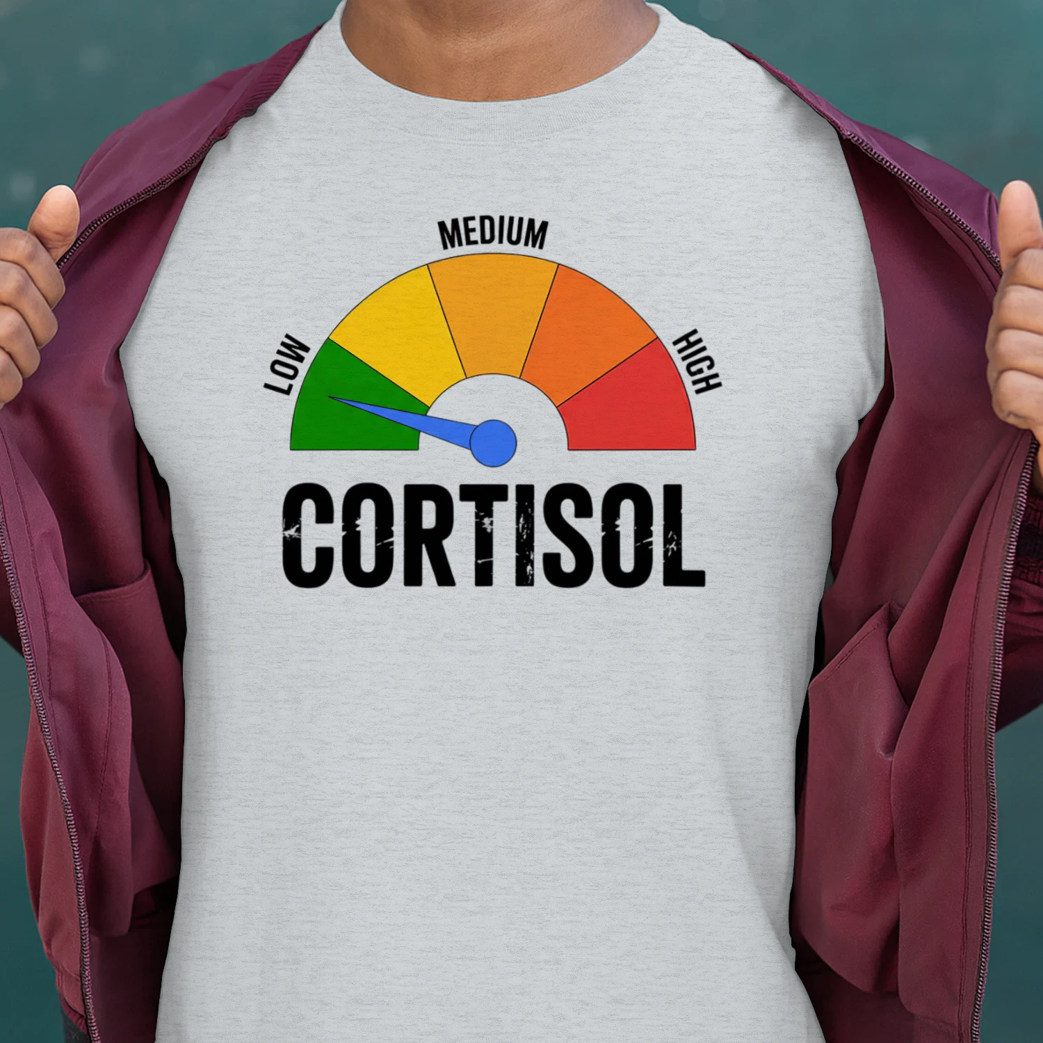Funny Low Cortisol Meme Meter Vintage Graphic Design