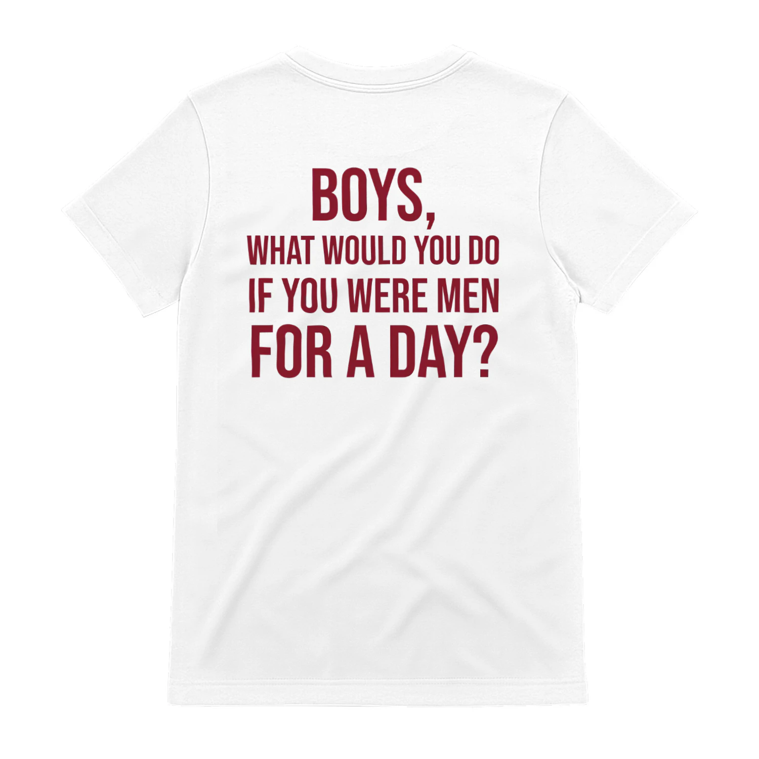 Sarcastic Quote Graphic Tee, Boys What Would You Do If You Were Men For A Day Funny