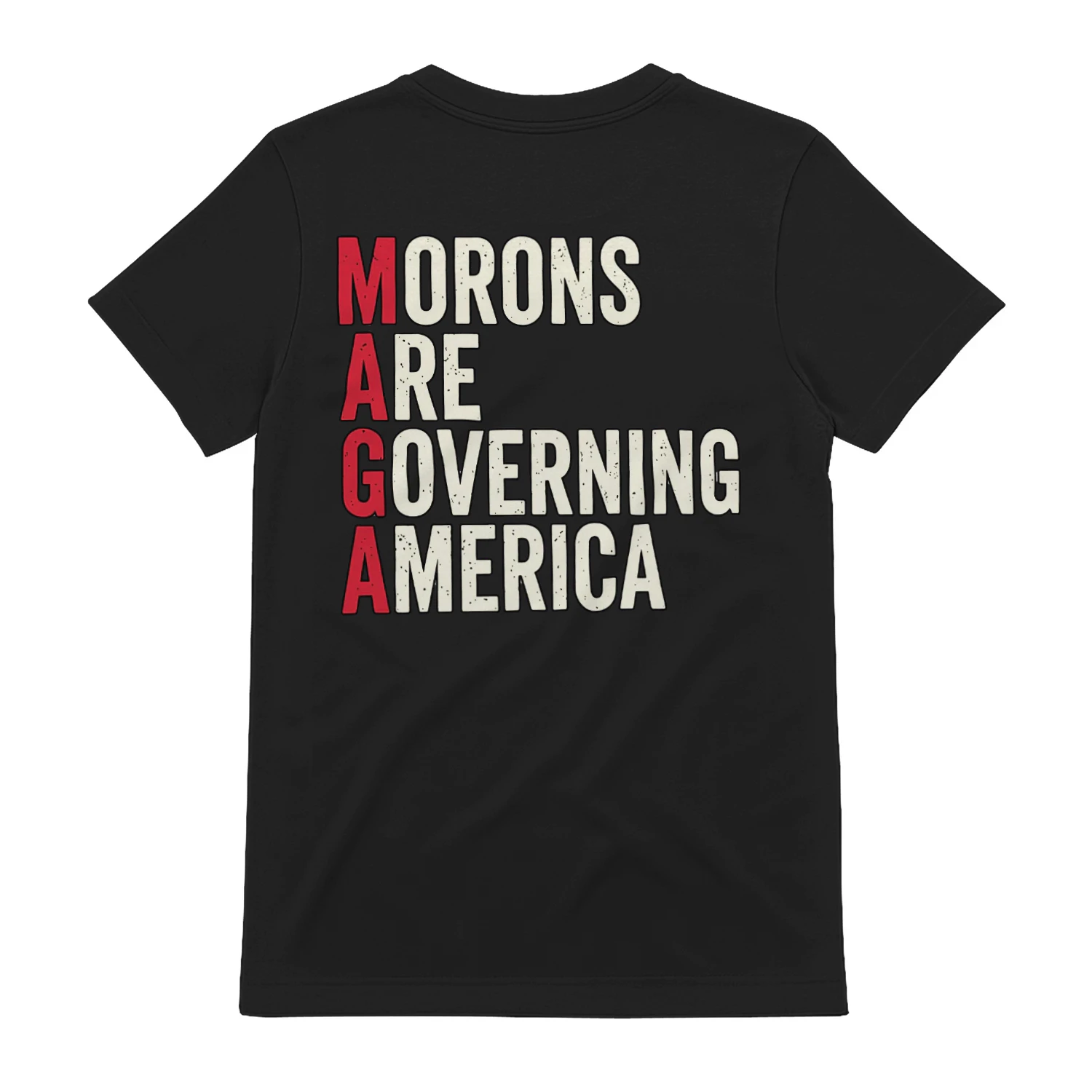 morons are governing america