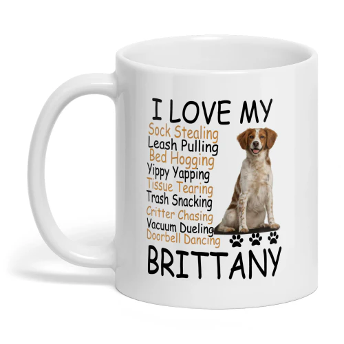 I LOVE MY BRITTANY