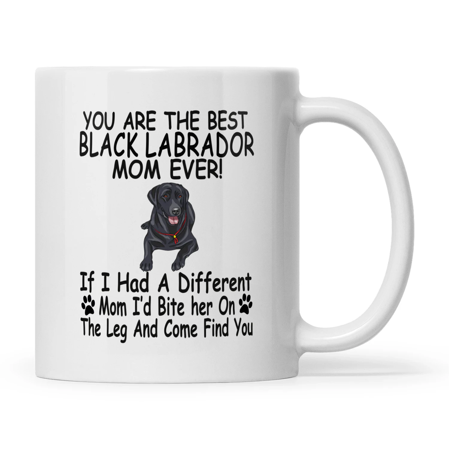 LABRADOR RETRIEVER MOM