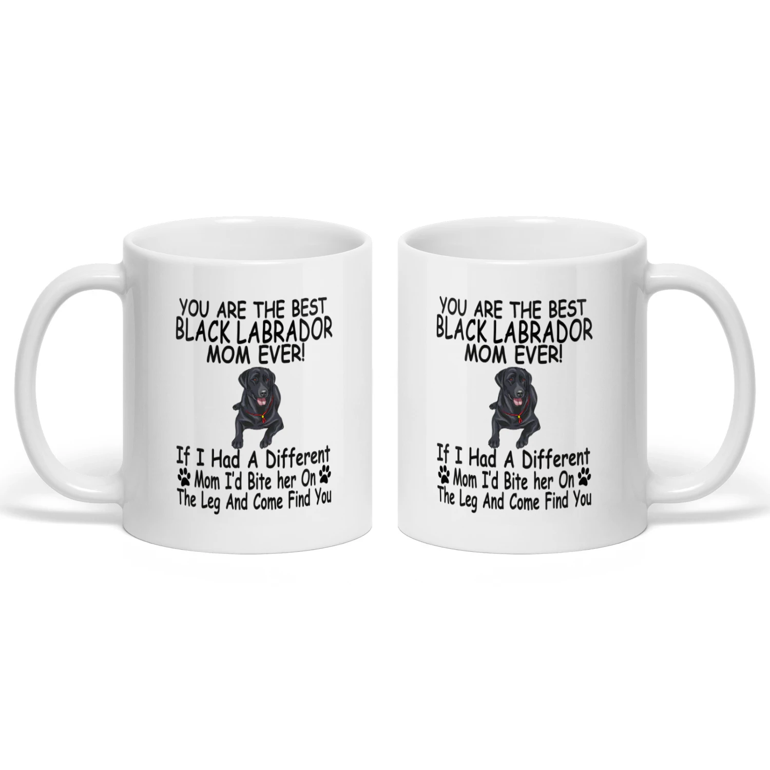 LABRADOR RETRIEVER MOM