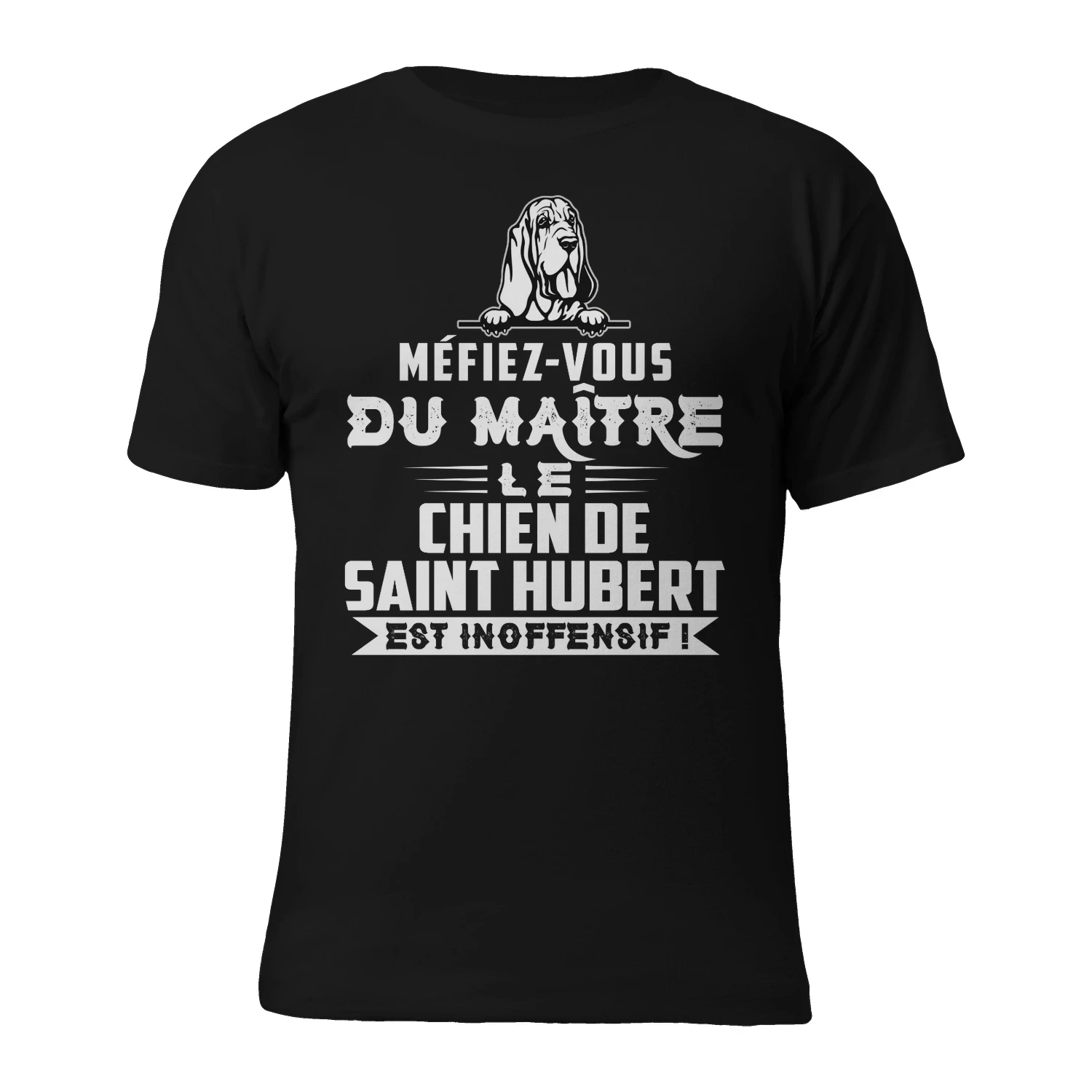 Méfiez-vous du Maître Le Chien de Saint Hubert