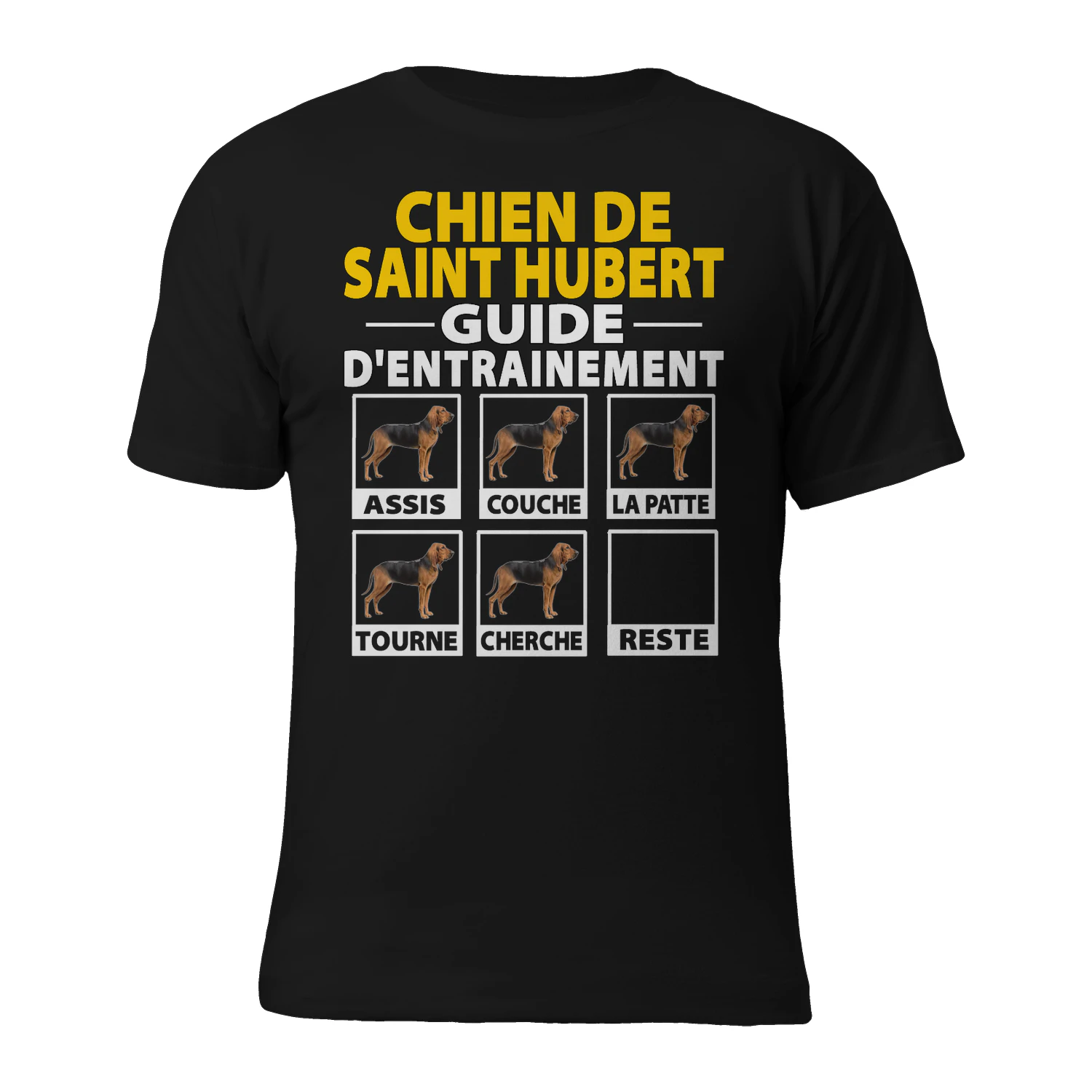 CHIEN DE SAINT HUBERT GUIDE D'ENTRAINEMENT