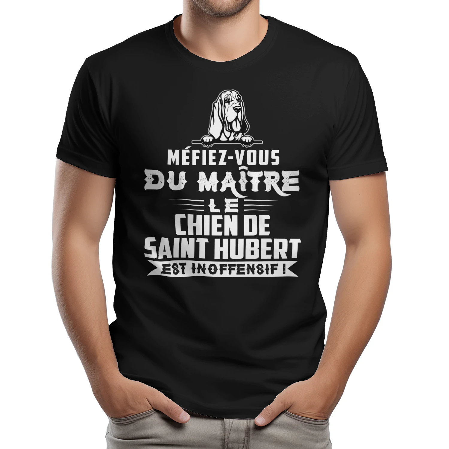Méfiez-vous du Maître Le Chien de Saint Hubert