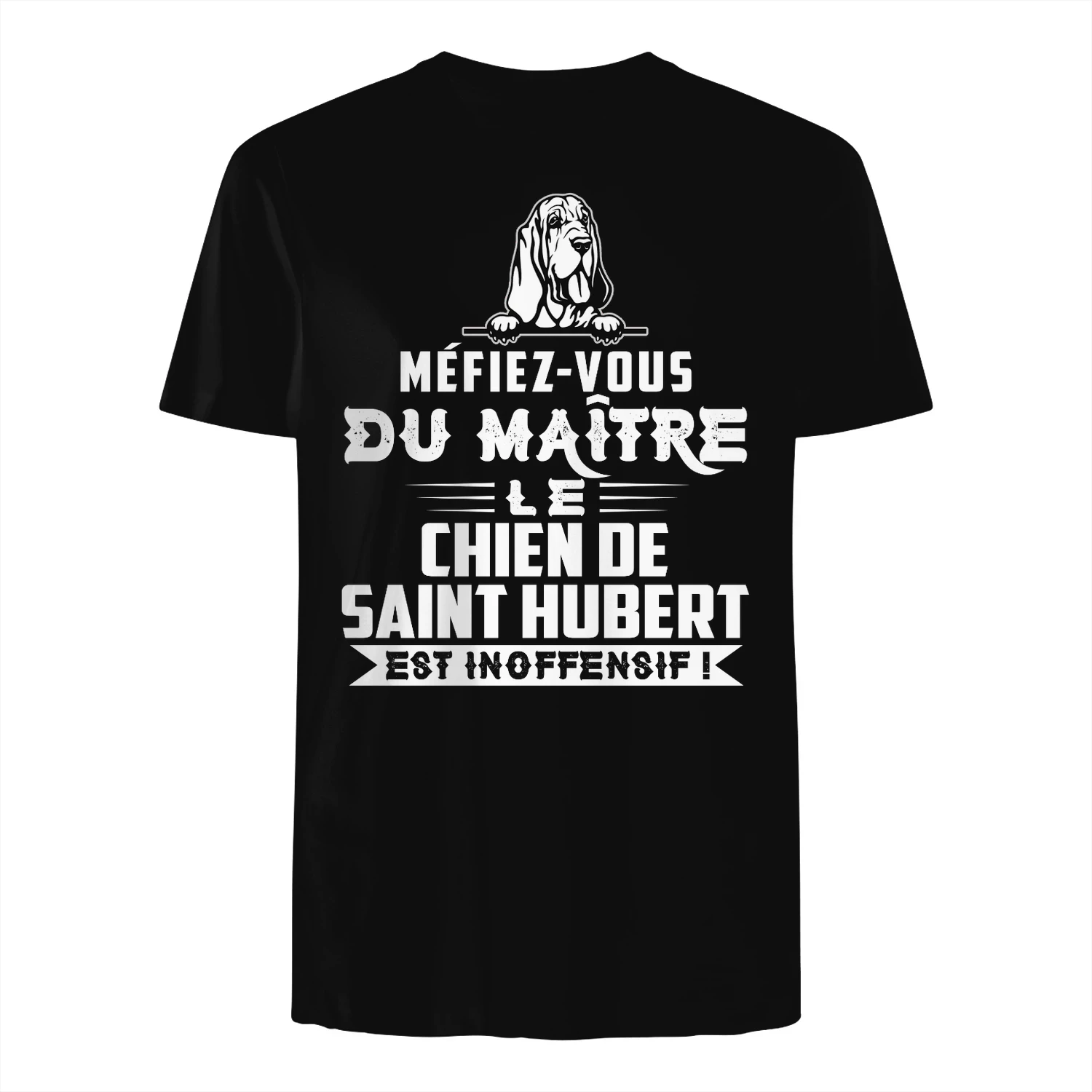 Méfiez-vous du Maître Le Chien de Saint Hubert