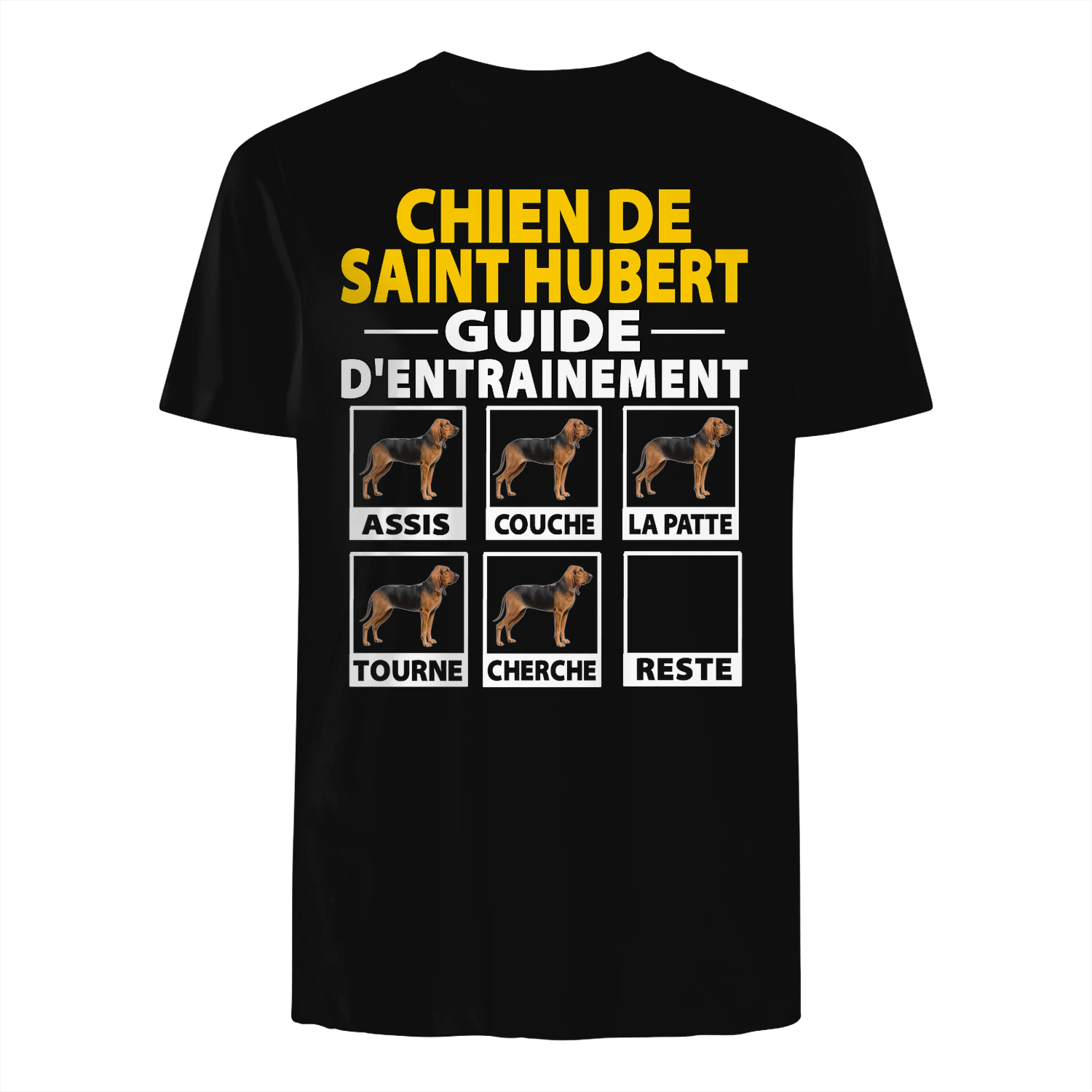 CHIEN DE SAINT HUBERT GUIDE D'ENTRAINEMENT