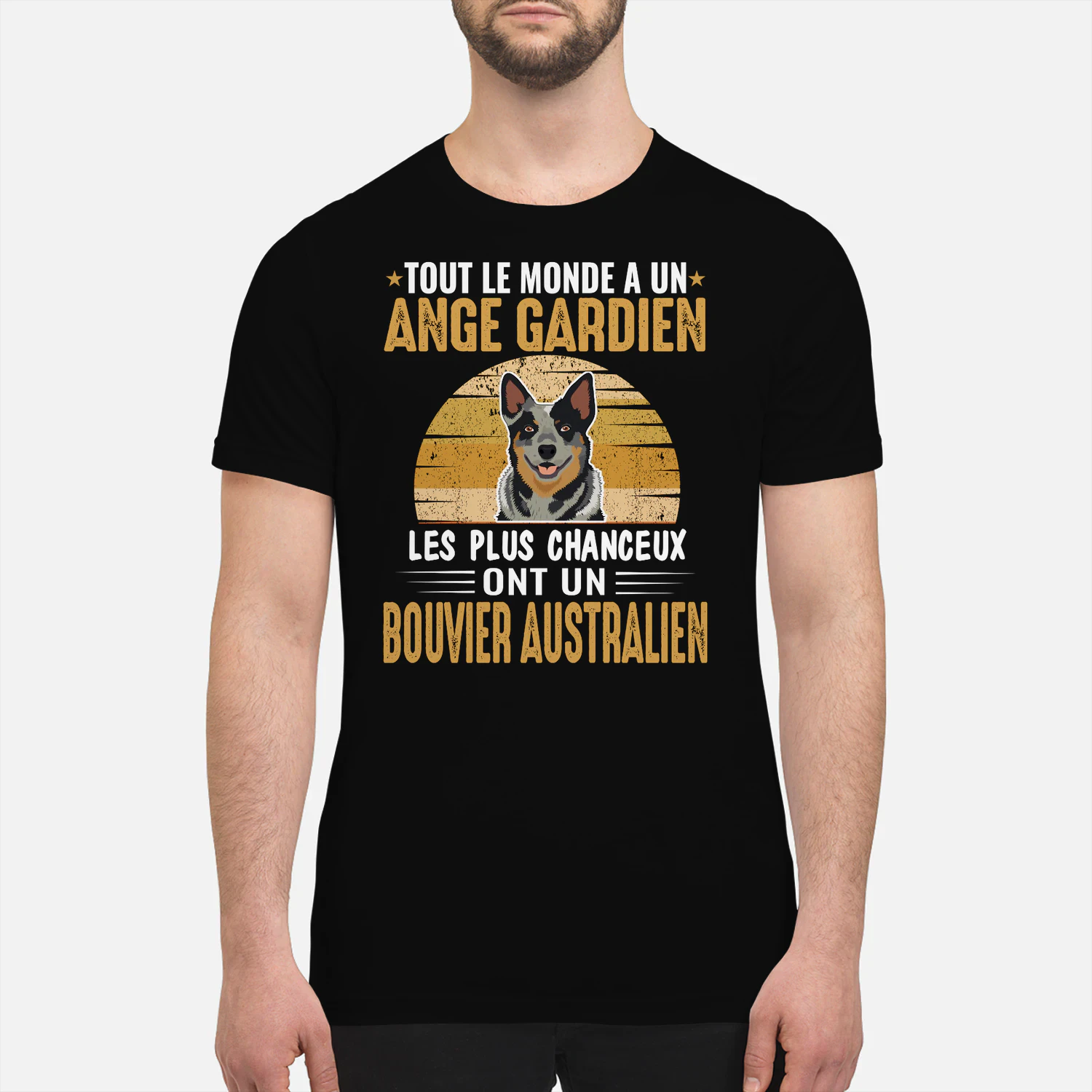 ANGE GARDIEN BOUVIER AUSTRALIEN