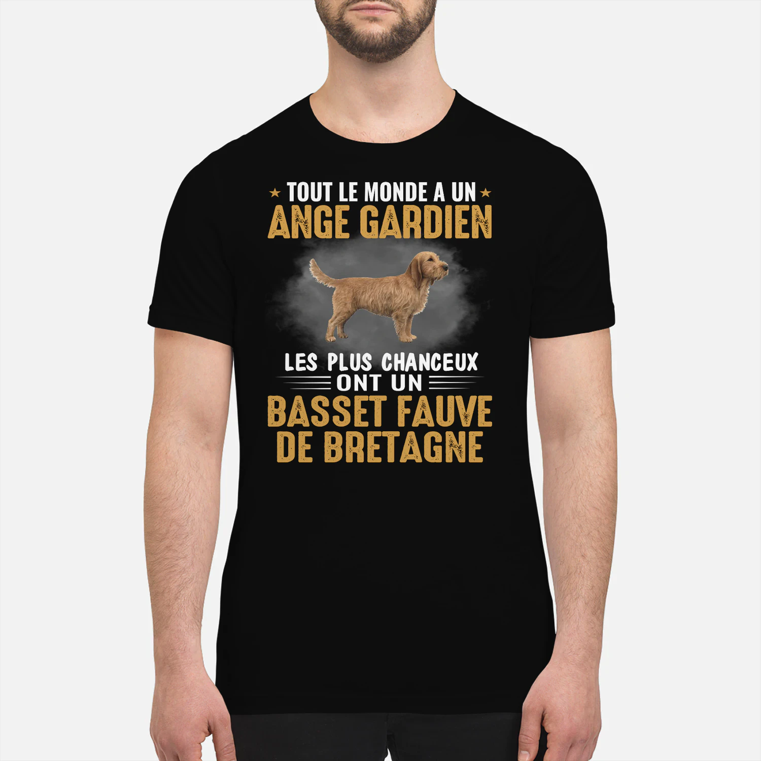 ANGE GARDIEN BASSET FAUVE DE BRETAGNE