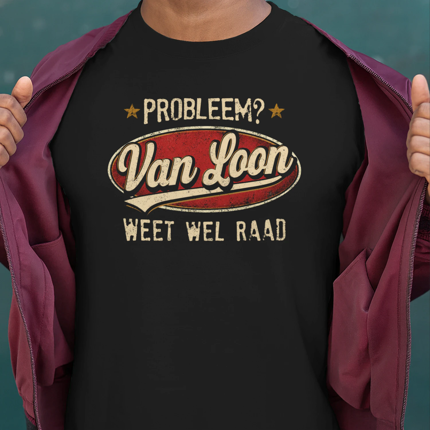 427-van-loon-d080nl
