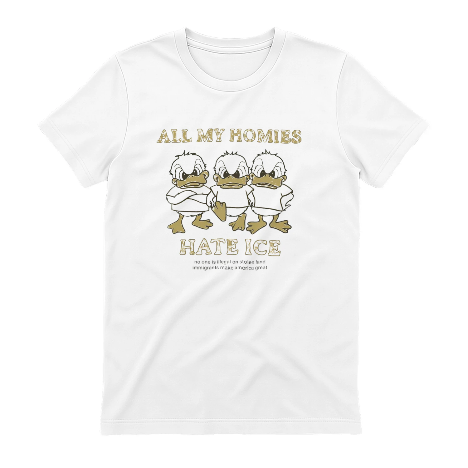 Zayn Malik All My Homies Hate ICE T-shirt  Zayn Malik Fan Design