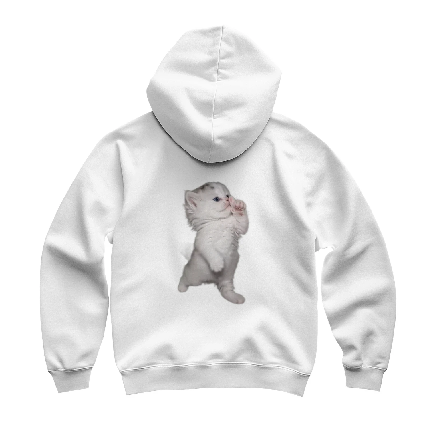 New 🐱👕