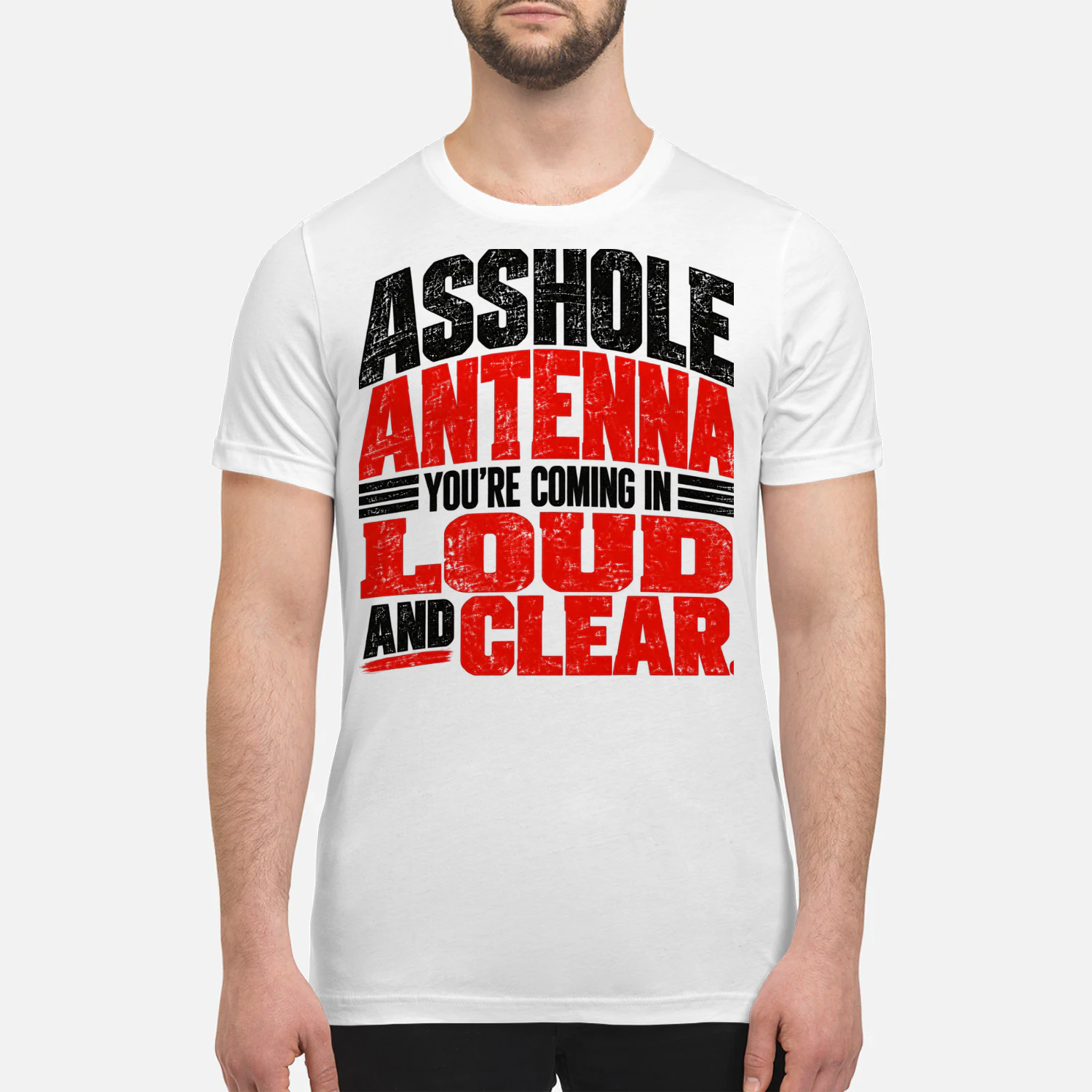 USA - ASSHOLE ANTENNA — YOU'RE COMING IN LOUD AND CLEAR.