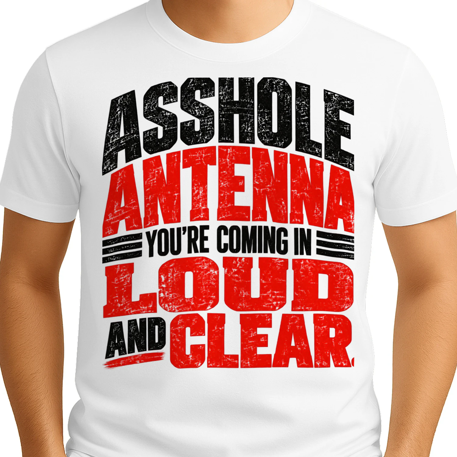 USA - ASSHOLE ANTENNA — YOU'RE COMING IN LOUD AND CLEAR.