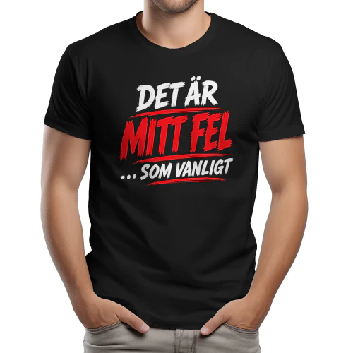 Det Är Mitt Fel ... Som Vanligt