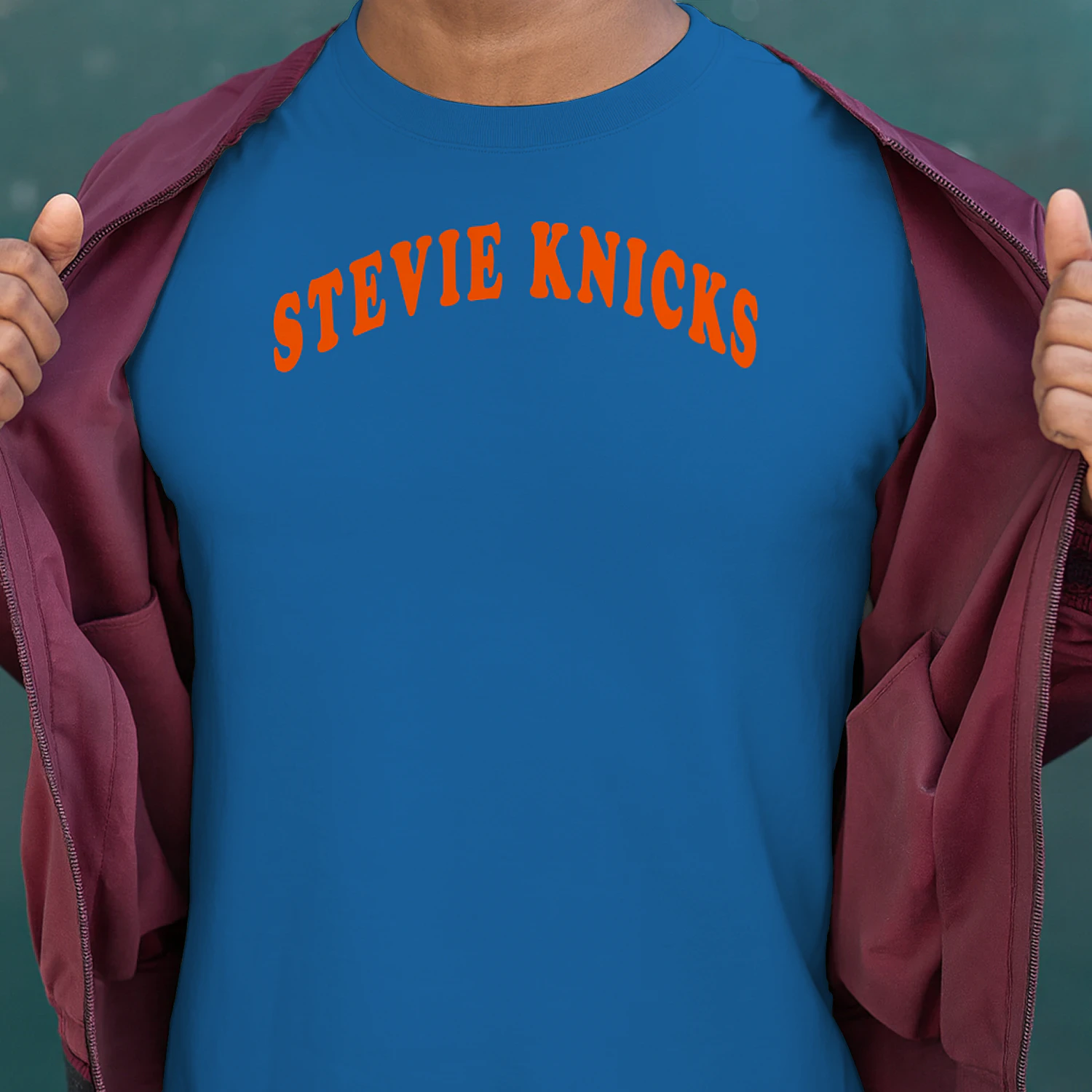 Stevie Knicks Shirt