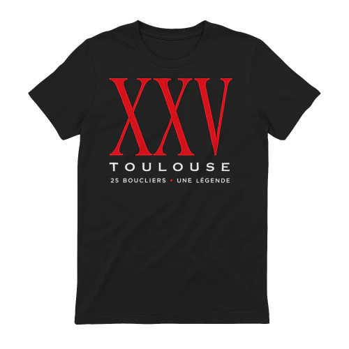 Back 4 Back Stade Toulousain Champions 2025