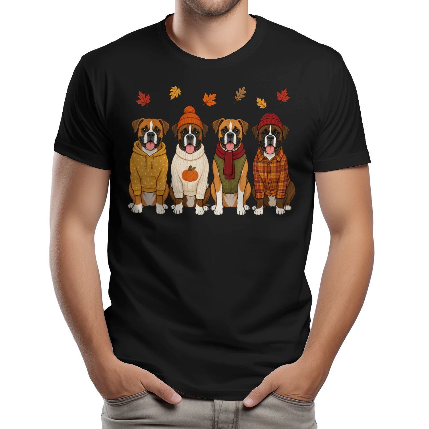 Boxer Dog 