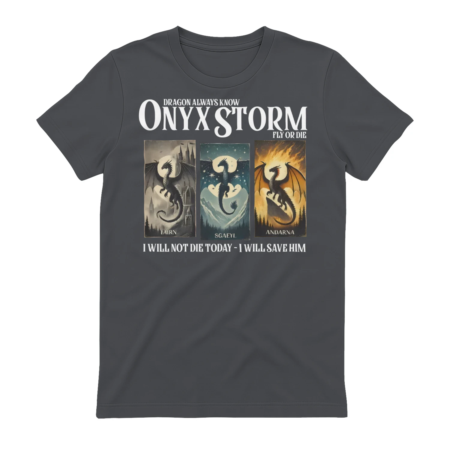 Onyx Storm Heavy Cotton Dark Colors T-shirt 1 Side, The Empyrean Series Gildan Tee, Fantasy Romance Book Shirt, Book Lover Gifts