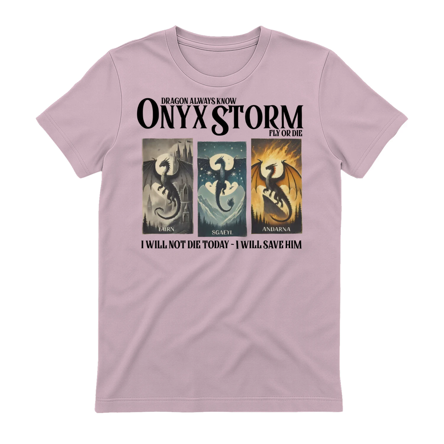 Onyx Storm Heavy Cotton Light Colors T-shirt 1 Side, The Empyrean Series Gildan Tee, Fantasy Romance Book Shirt, Book Lover Gifts