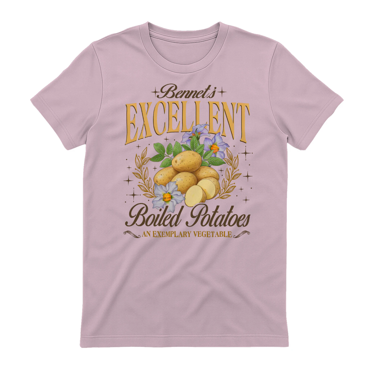 Exemplary Vegetable Heavy Cotton Light Colors T-shirt 1 Side, Pride and Prejudice Gildan Tee, Classic Literature Shirt, Book Lover Gifts