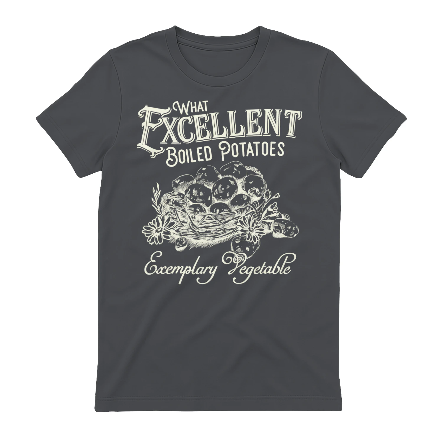 Exemplary Vegetable Heavy Cotton Dark Colors T-shirt 1 Side, Pride and Prejudice Gildan Tee, Classic Literature Shirt, Book Lover Gifts