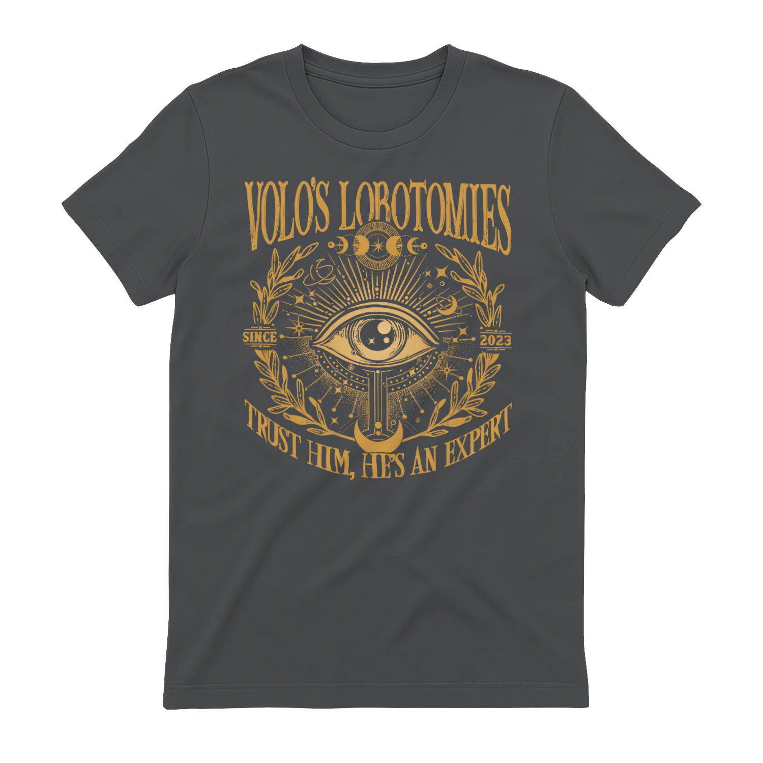 Volo’s Lobotomies Heavy Cotton Dark Colors T-shirt 1 Side, High Fantasy Gildan Tee, Tabletop RPG Lore Shirt, Book Lover Gifts