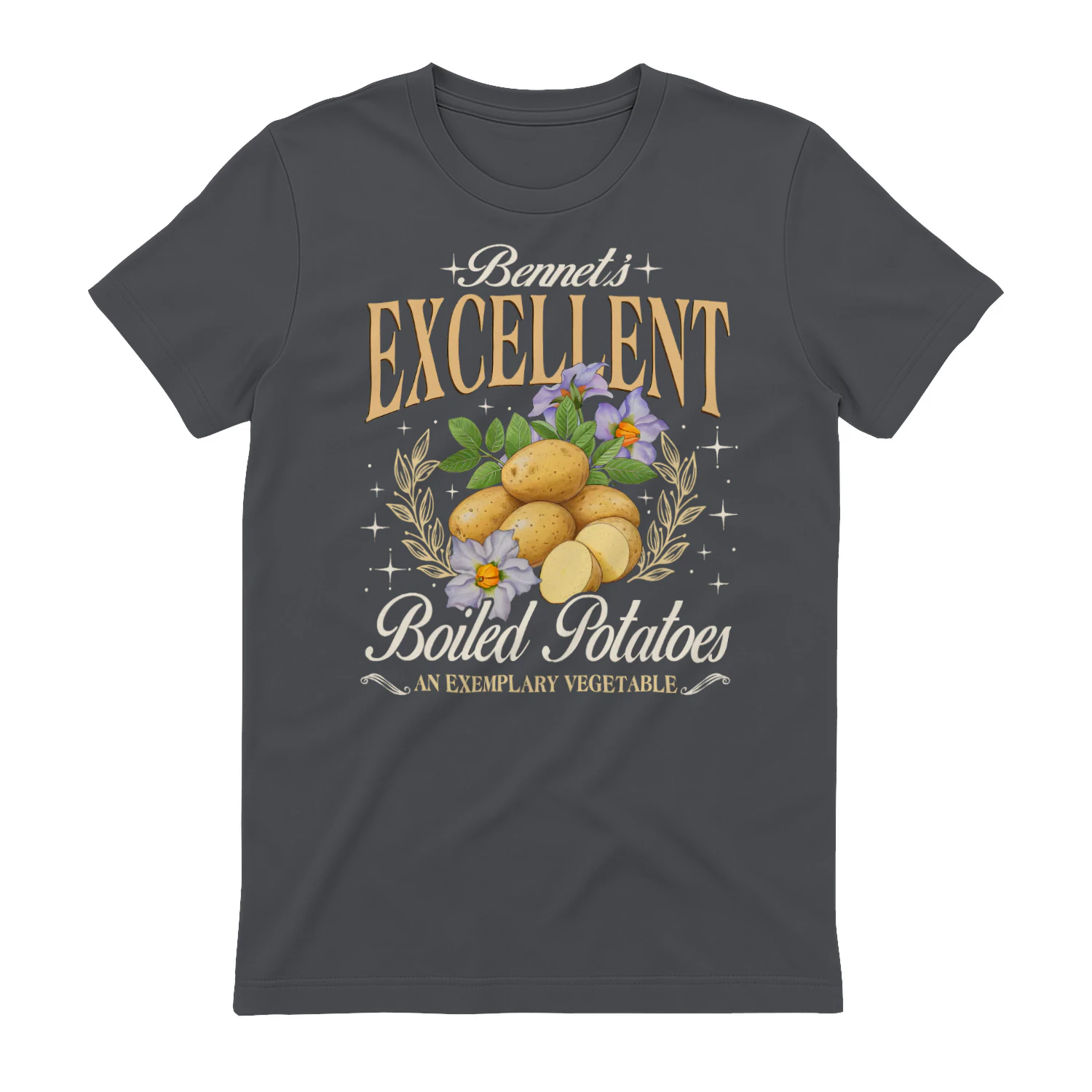 Exemplary Vegetable Heavy Cotton Dark Colors T-shirt 1 Side, Pride and Prejudice Gildan Tee, Classic Literature Shirt, Book Lover Gifts