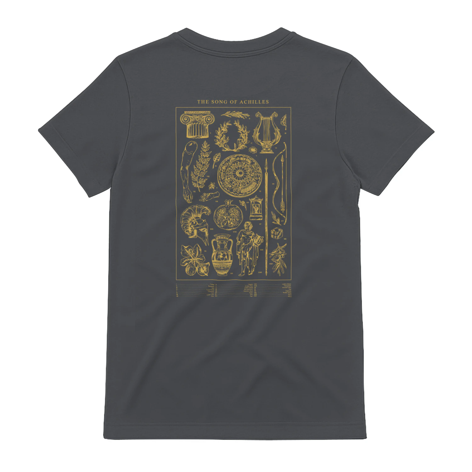 The Song of Achilles Heavy Cotton Dark Colors T-shirt 2 Side, Classic Retellings Gildan Tee, Mythological Retellings Book Shirt, Book Lover Gifts