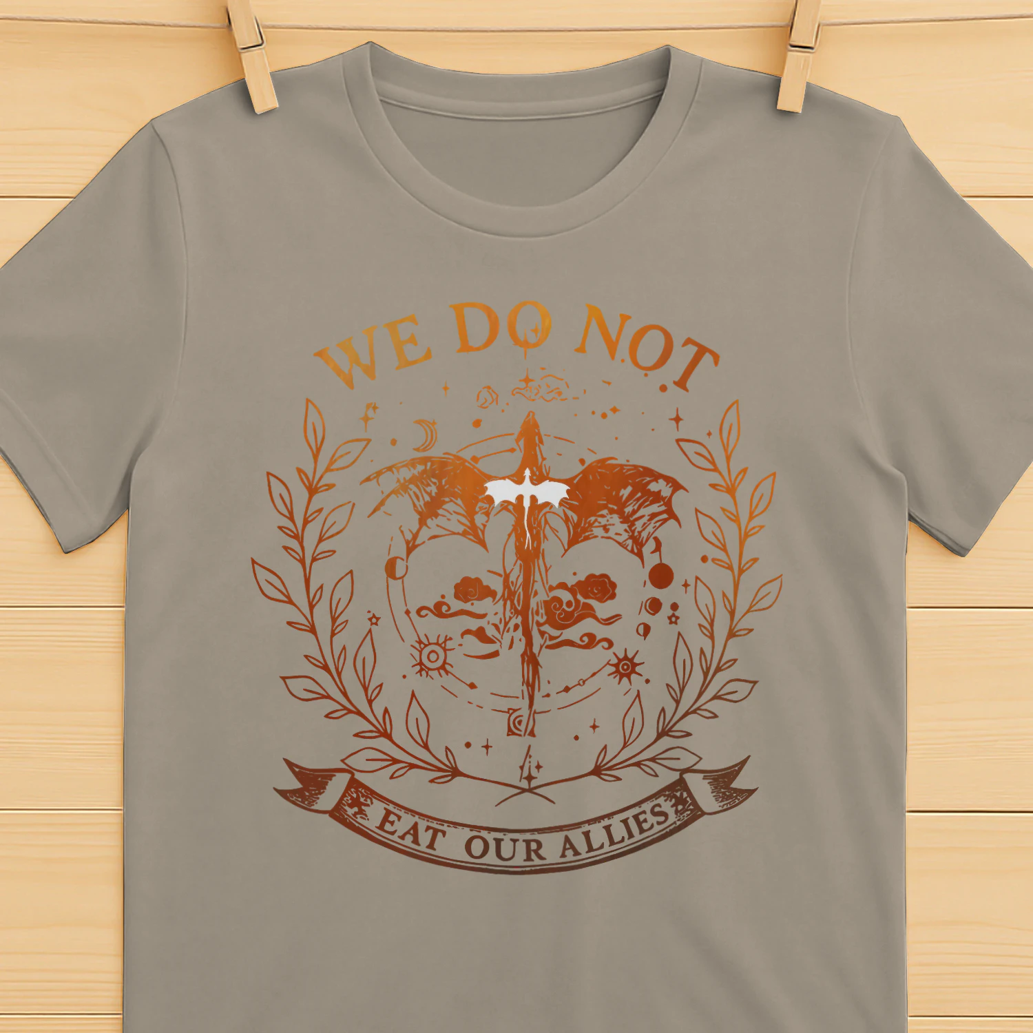 We Do Not Eat Our Allies Heavy Cotton Light Colors T-shirt 1 Side, Fourth Wing Gildan Tee, Fantasy Romance Book Shirt, Book Gifts